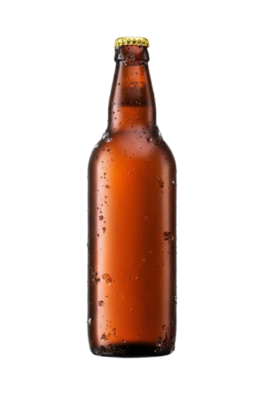 Beer Bottle